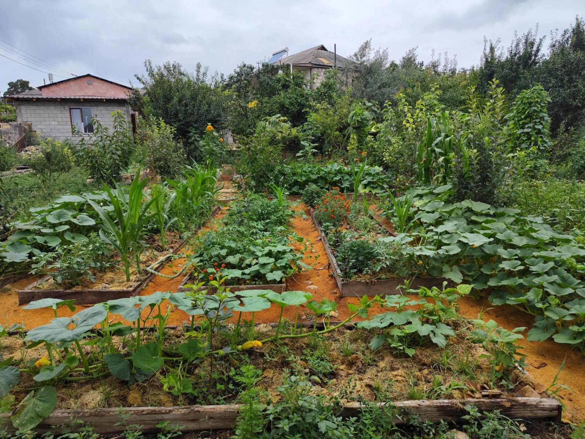 Berdavan Guesthouse Kültér fotó